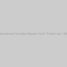 Image of Recombinant Candida Albicans CLN1 Protein (aa 1-698)